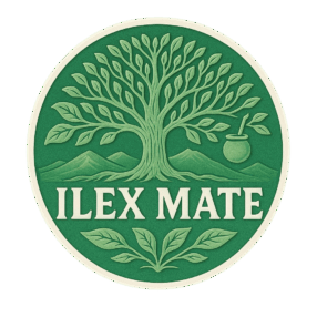 Ilex Mate